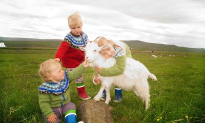 Haafell_GoatFarm_1-scaled