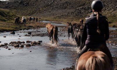 Horse riding