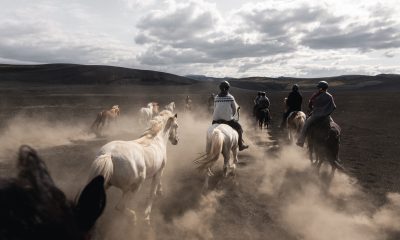 horse riding 2